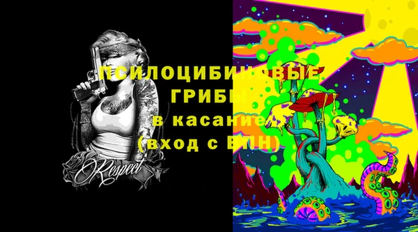 крисы Верея