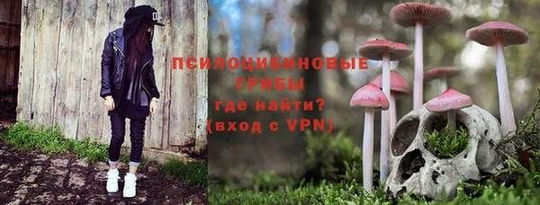 крисы Верея